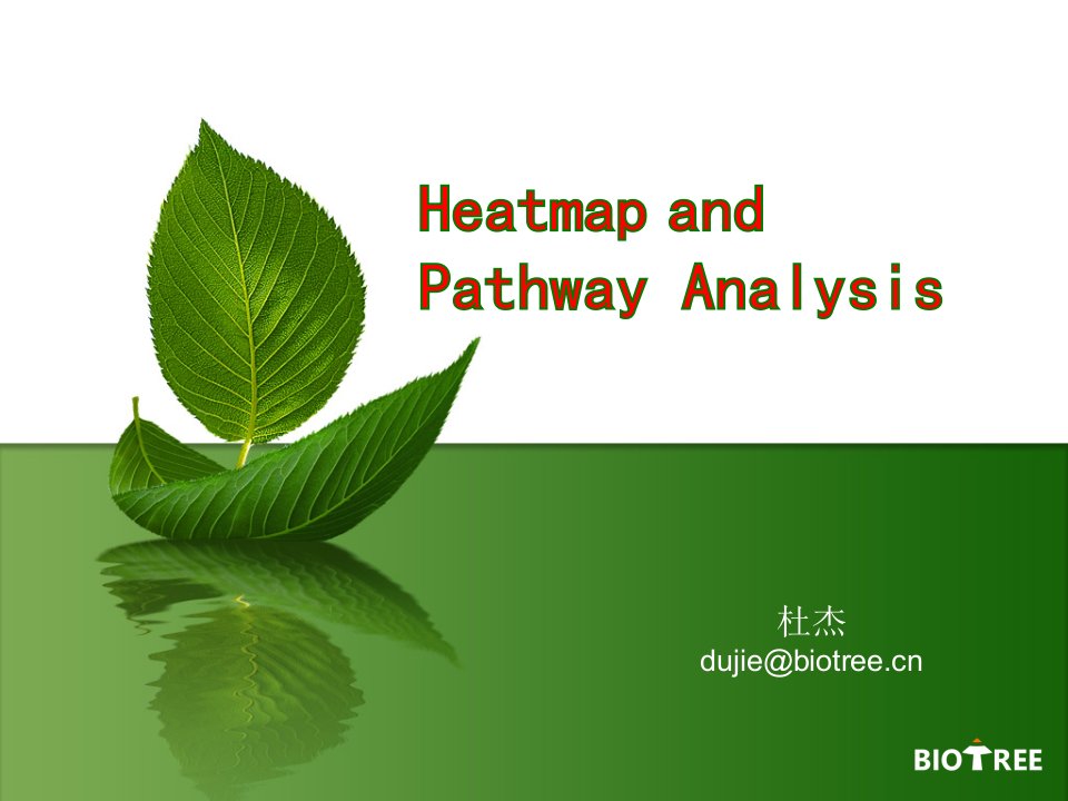 biotree-层次聚类热力图及pathway分析解析