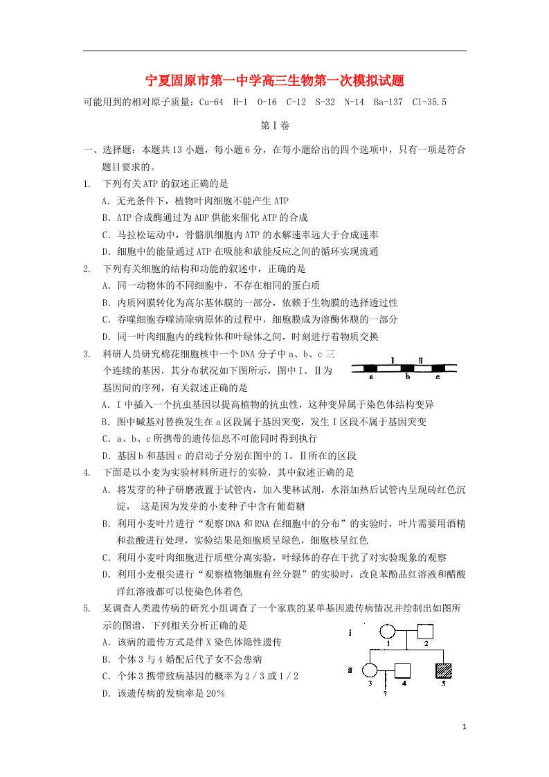 宁夏固原市第一中学高三生物第一次模拟试题