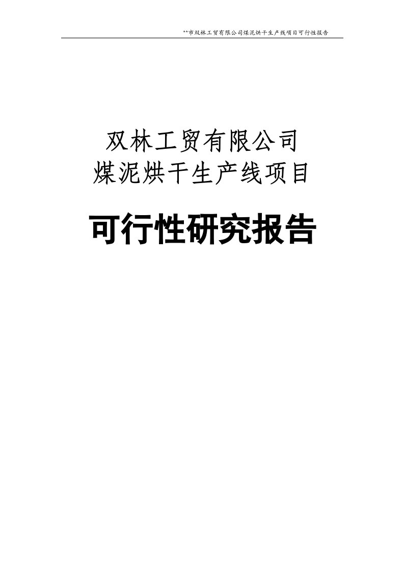 煤泥烘干生产线项目可行性研究报告