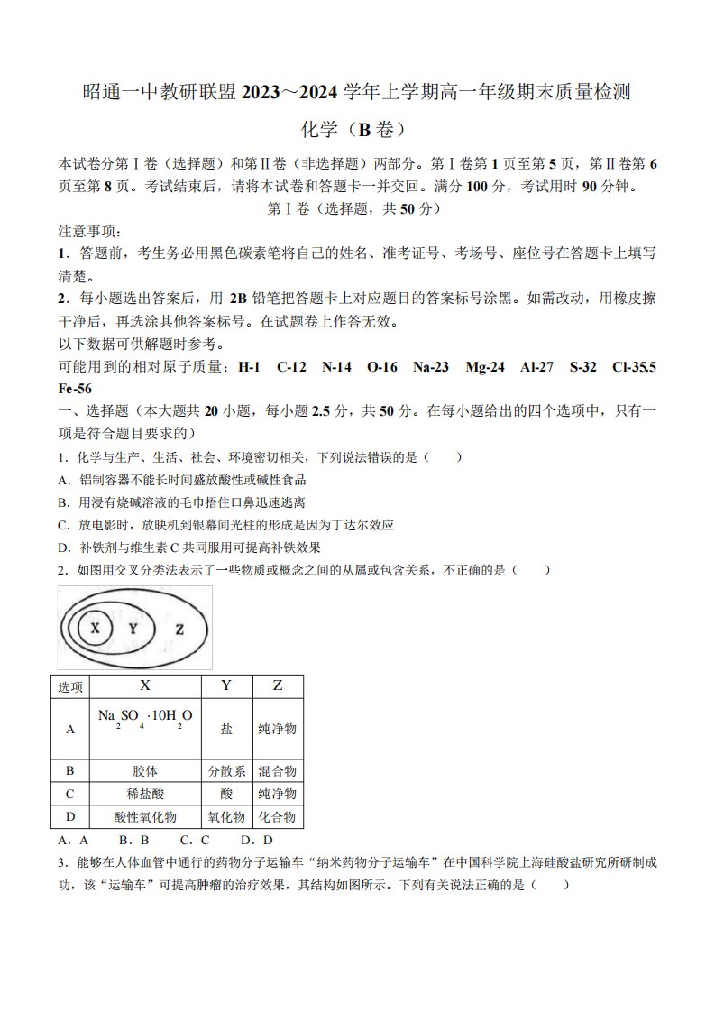 2024学年高一上学期期末质量检测化学(B卷)试题