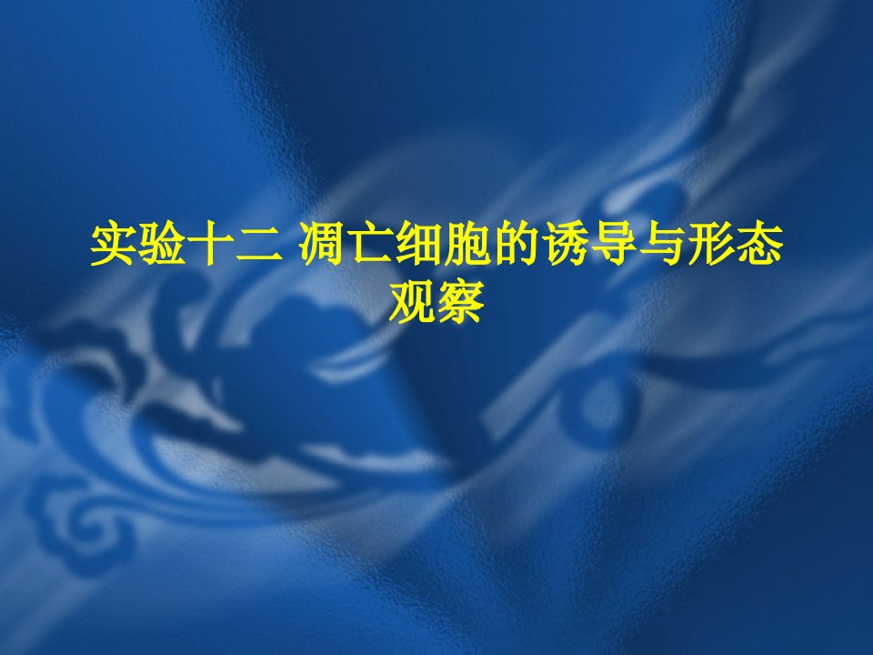 实验十二凋亡细胞的诱导和光镜下形态观察