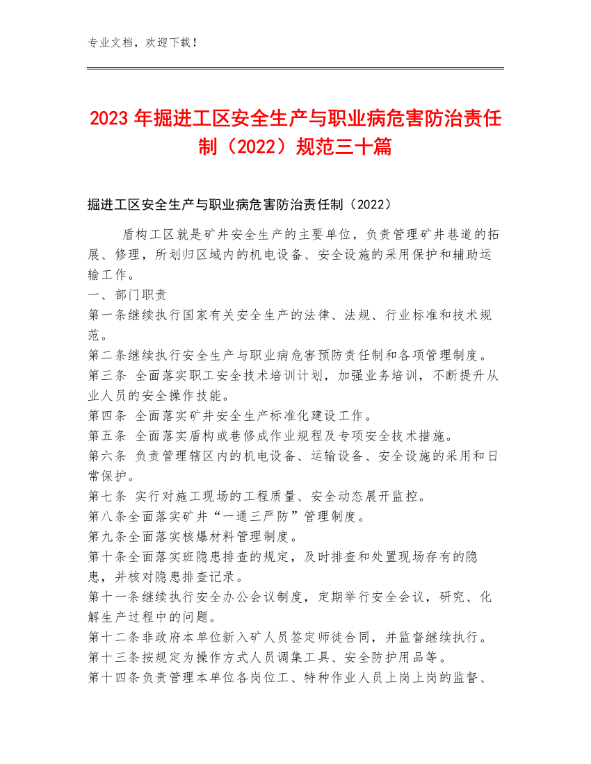 2023年掘进工区安全生产与职业病危害防治责任制（2022）规范三十篇