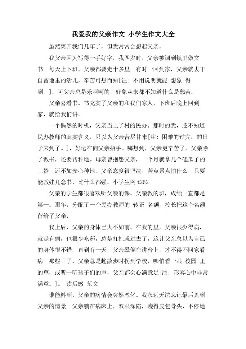 我爱我的父亲作文