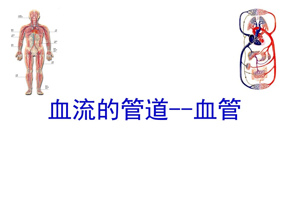 新人教版七年级生物第二节