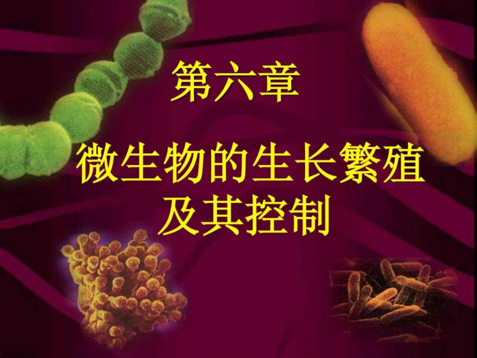 微生物学讲义第六章