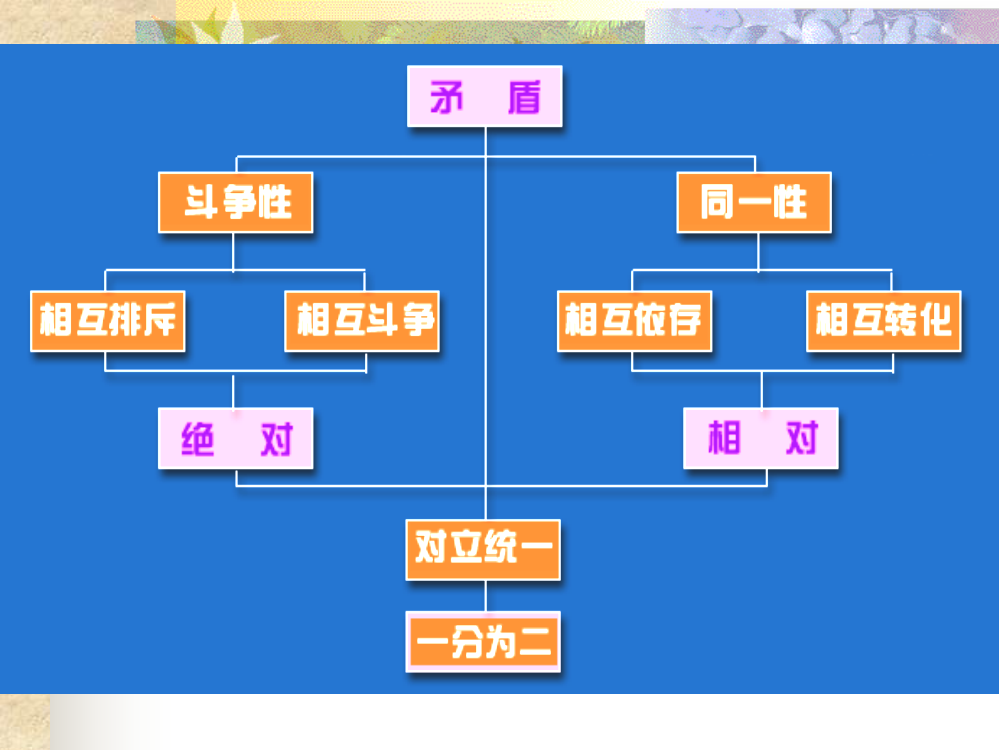 矛盾第二课时——普遍性和特殊性