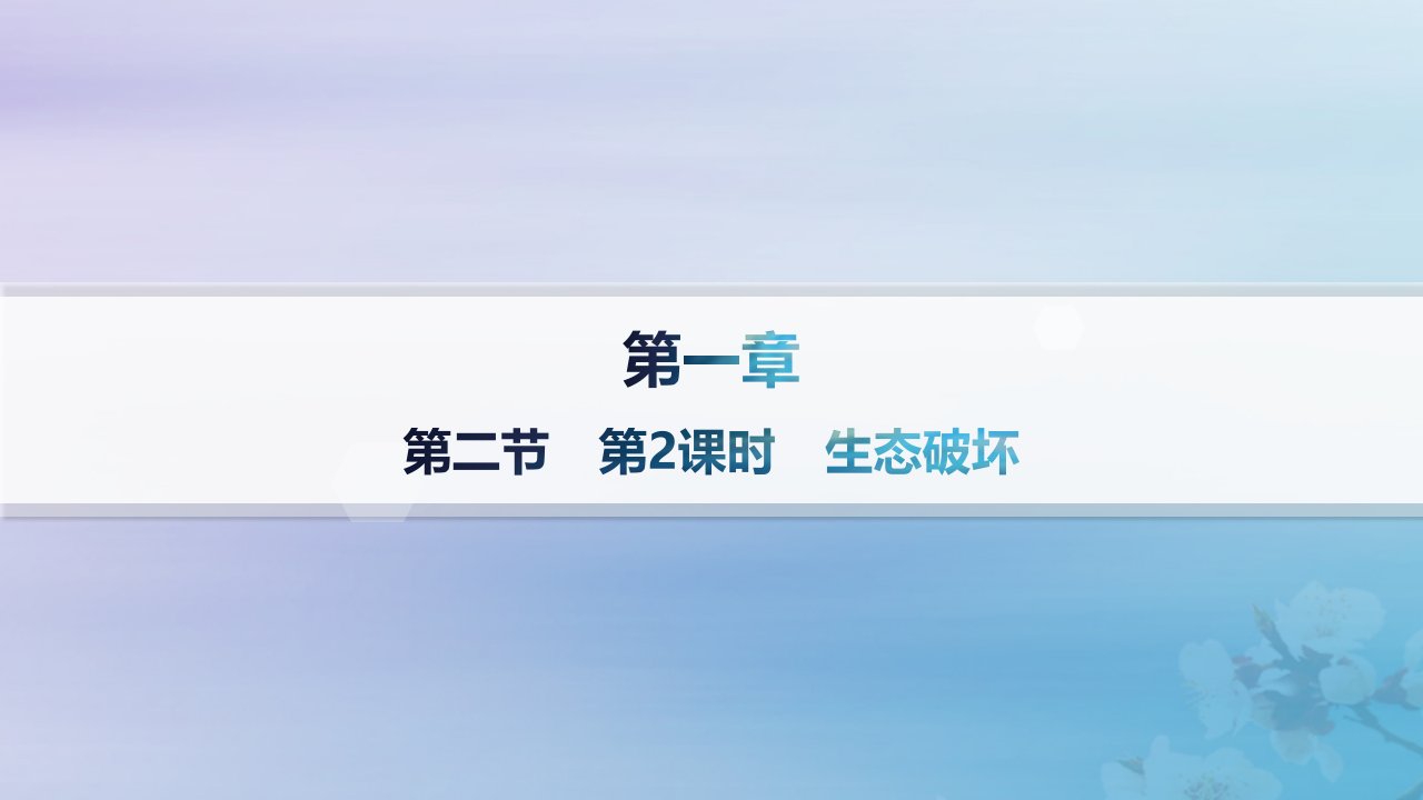 新教材2023_2024学年高中地理第1章资源环境与人类活动第2节人类活动与环境问题第2课时生态破坏分层作业课件湘教版选择性必修3