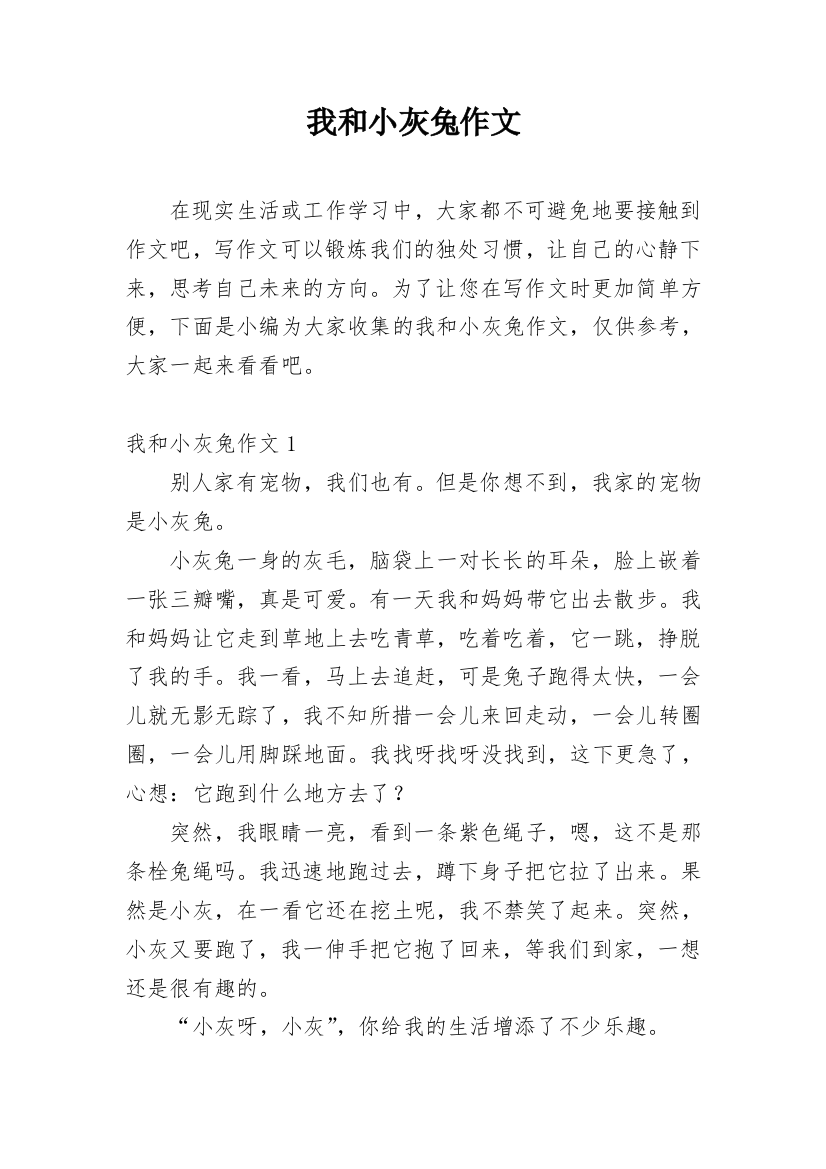 我和小灰兔作文