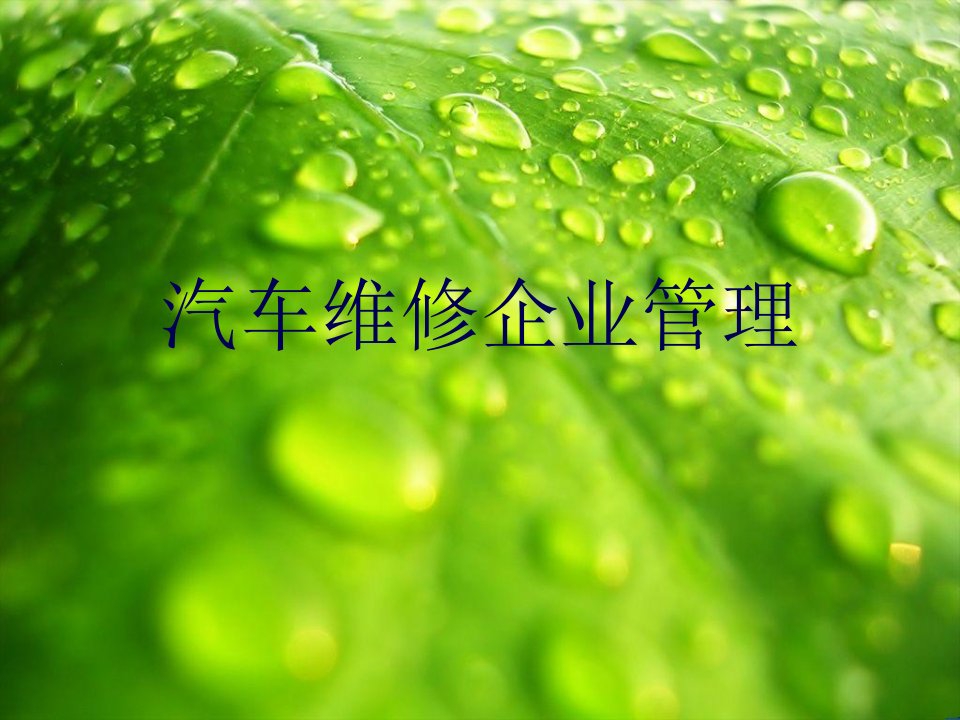 汽车维修企业管理