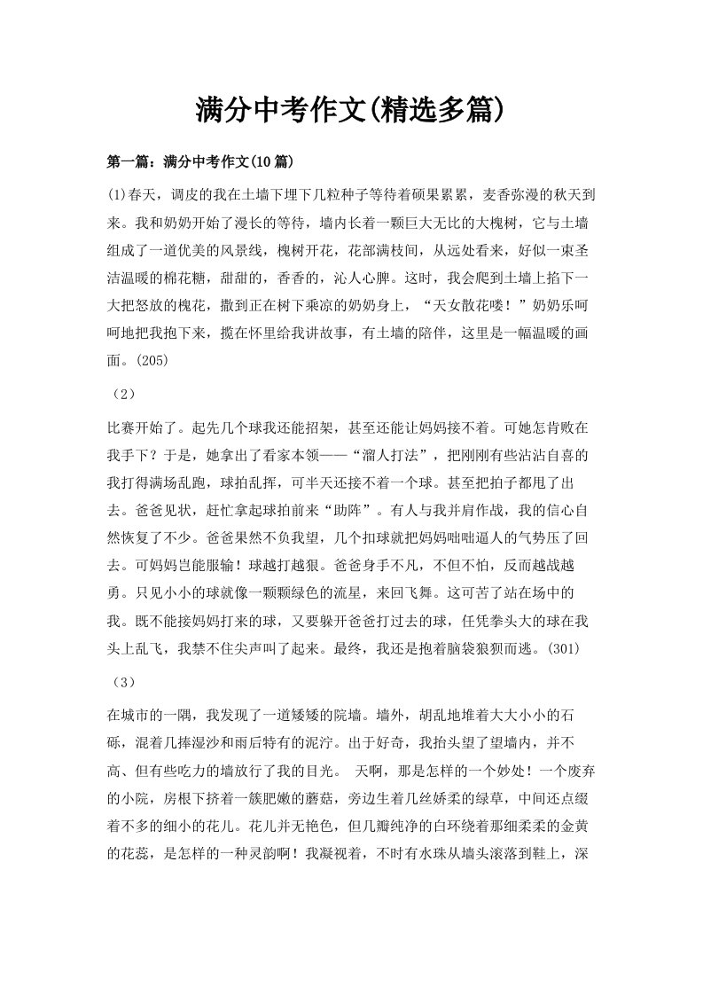 满分中考作文精选多篇