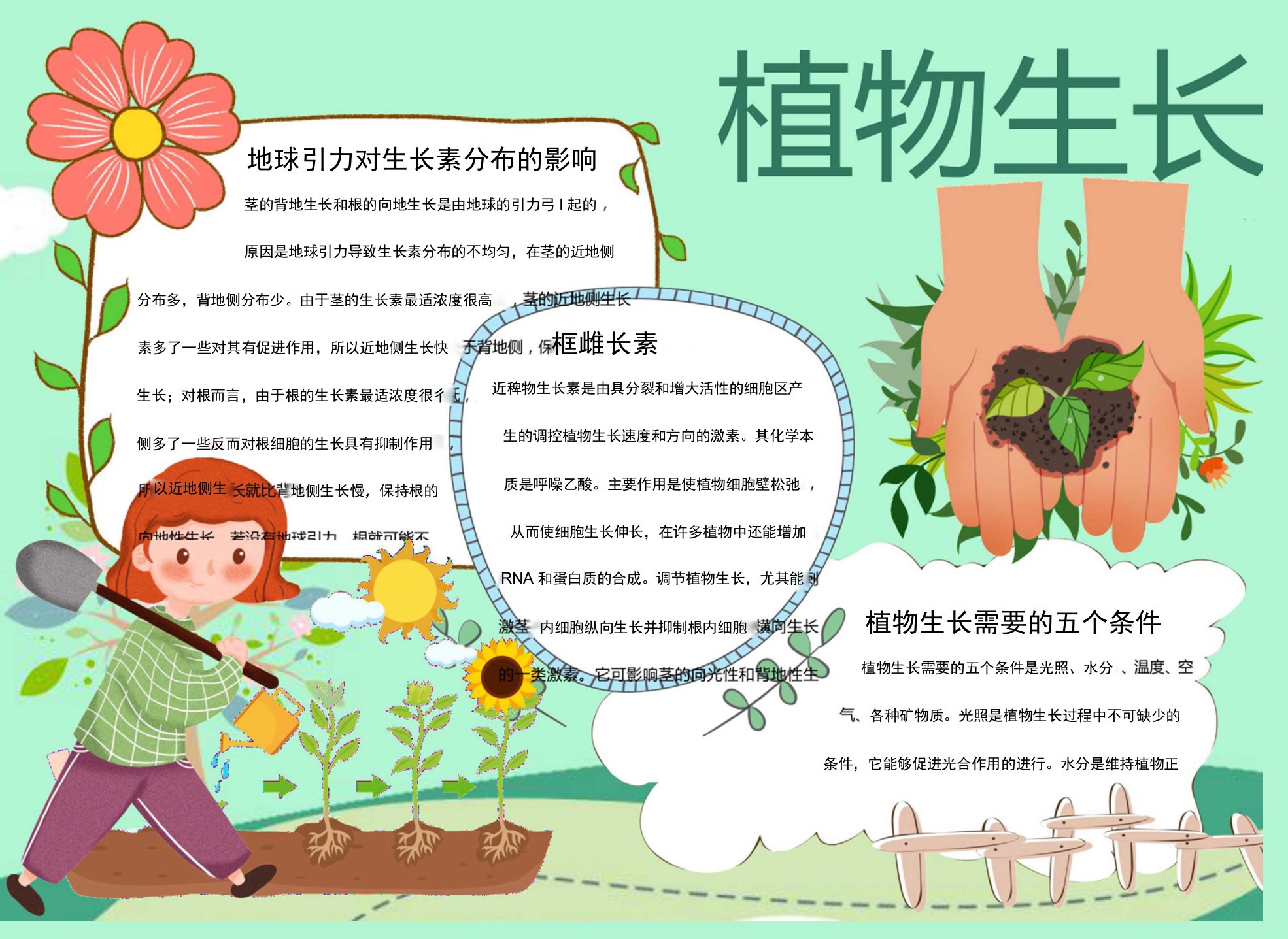 绿色植物生长植物生长需要的五个条件Word手抄报