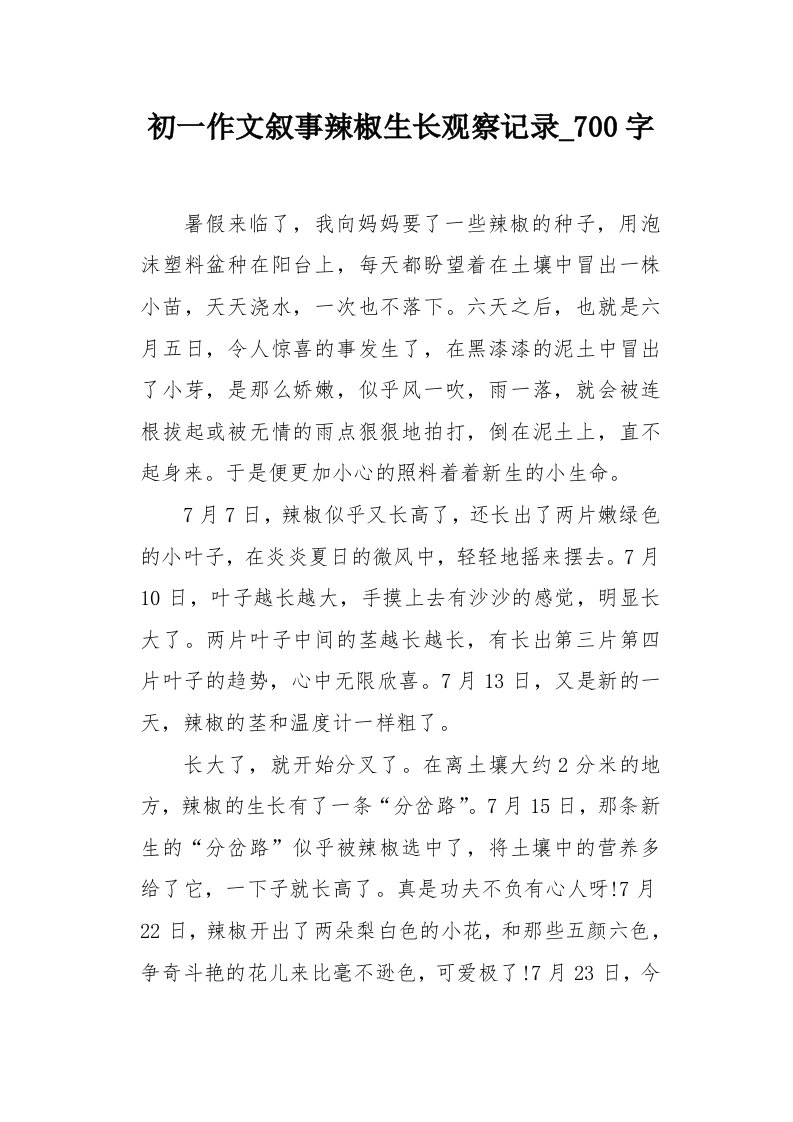 初一作文叙事辣椒生长观察记录700字