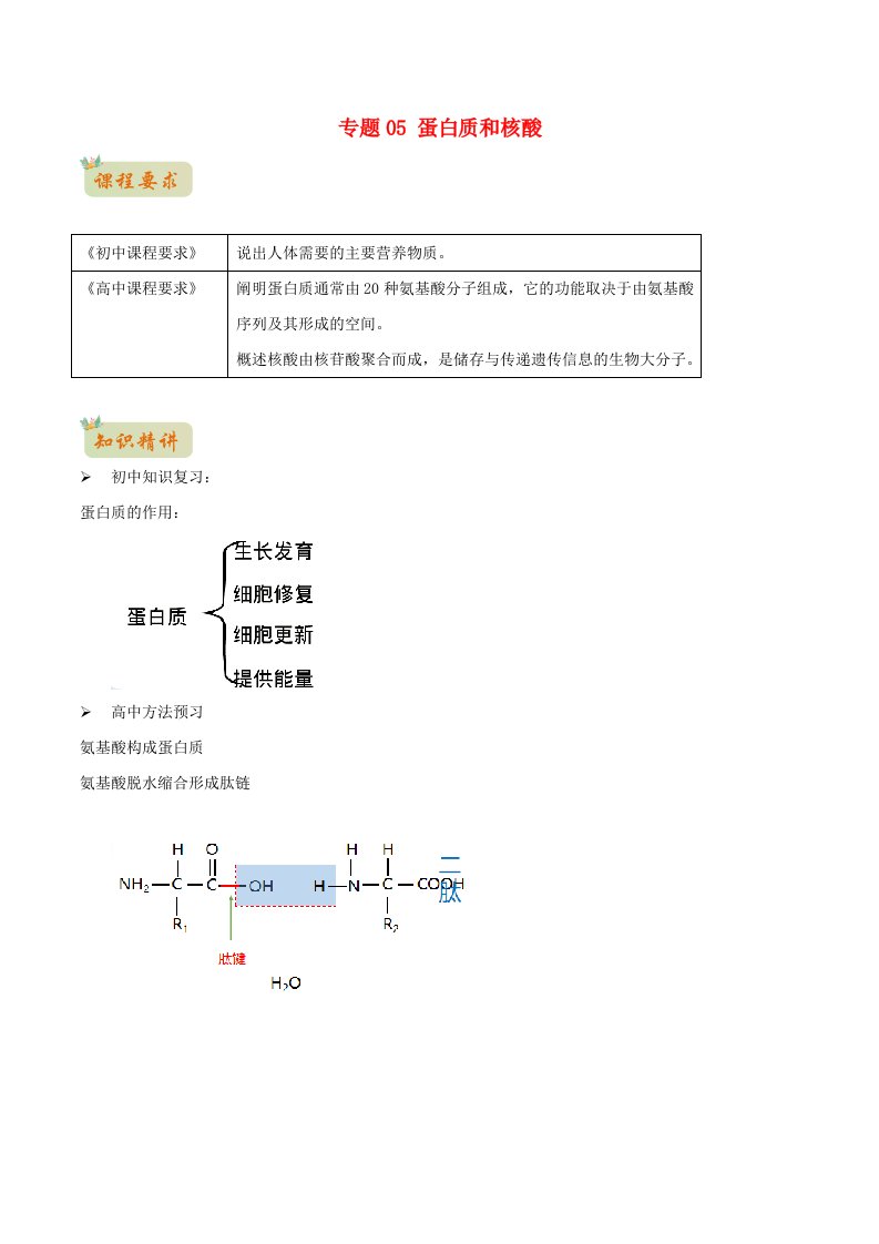 初升高暑期衔接高一生物精讲精练专题05蛋白质和核酸