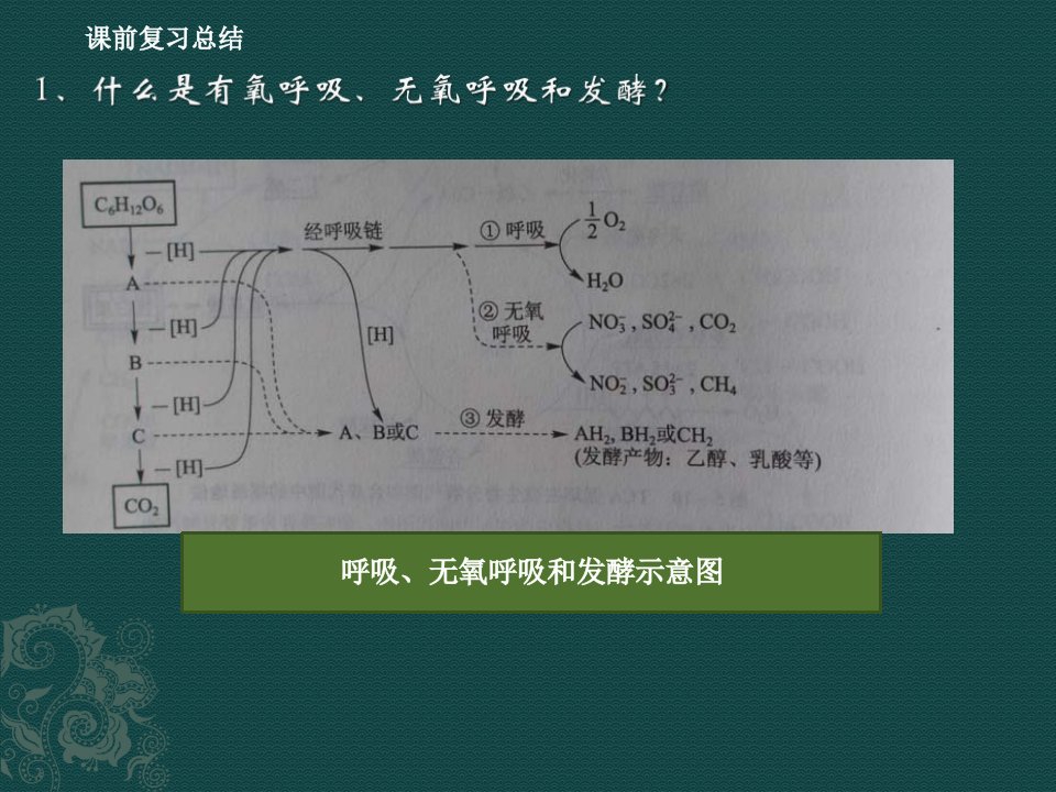 实验五