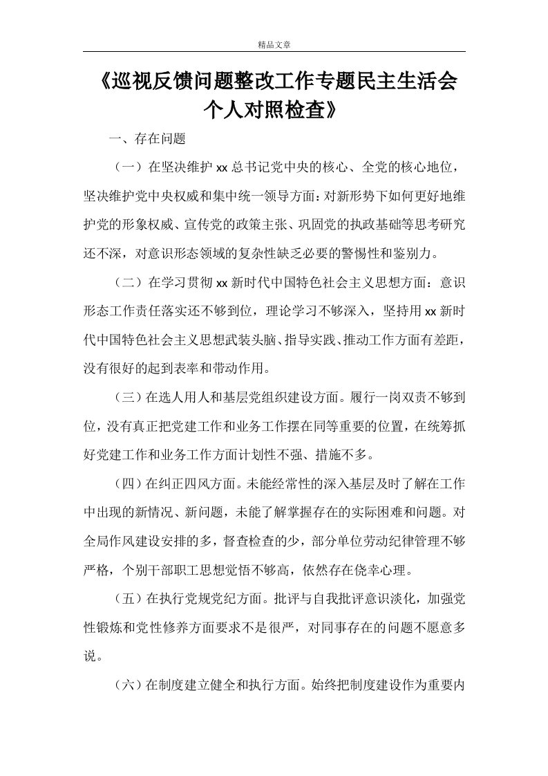 《巡视反馈问题整改工作专题民主生活会个人对照检查》