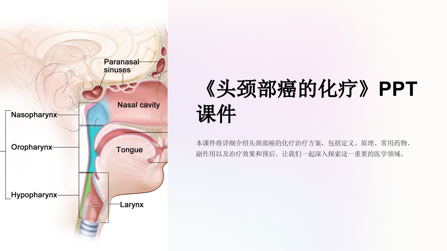 《头颈部癌的化疗》课件