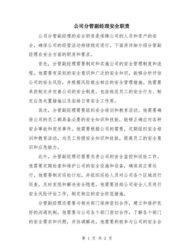 公司分管副经理安全职责