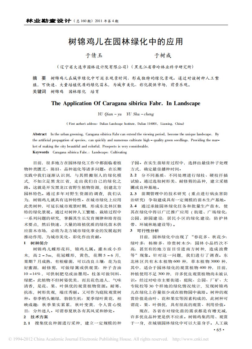 树锦鸡儿在园林绿化中的应用.pdf