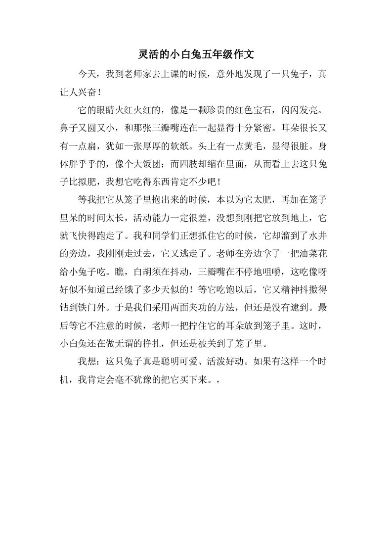 灵活的小白兔五年级作文