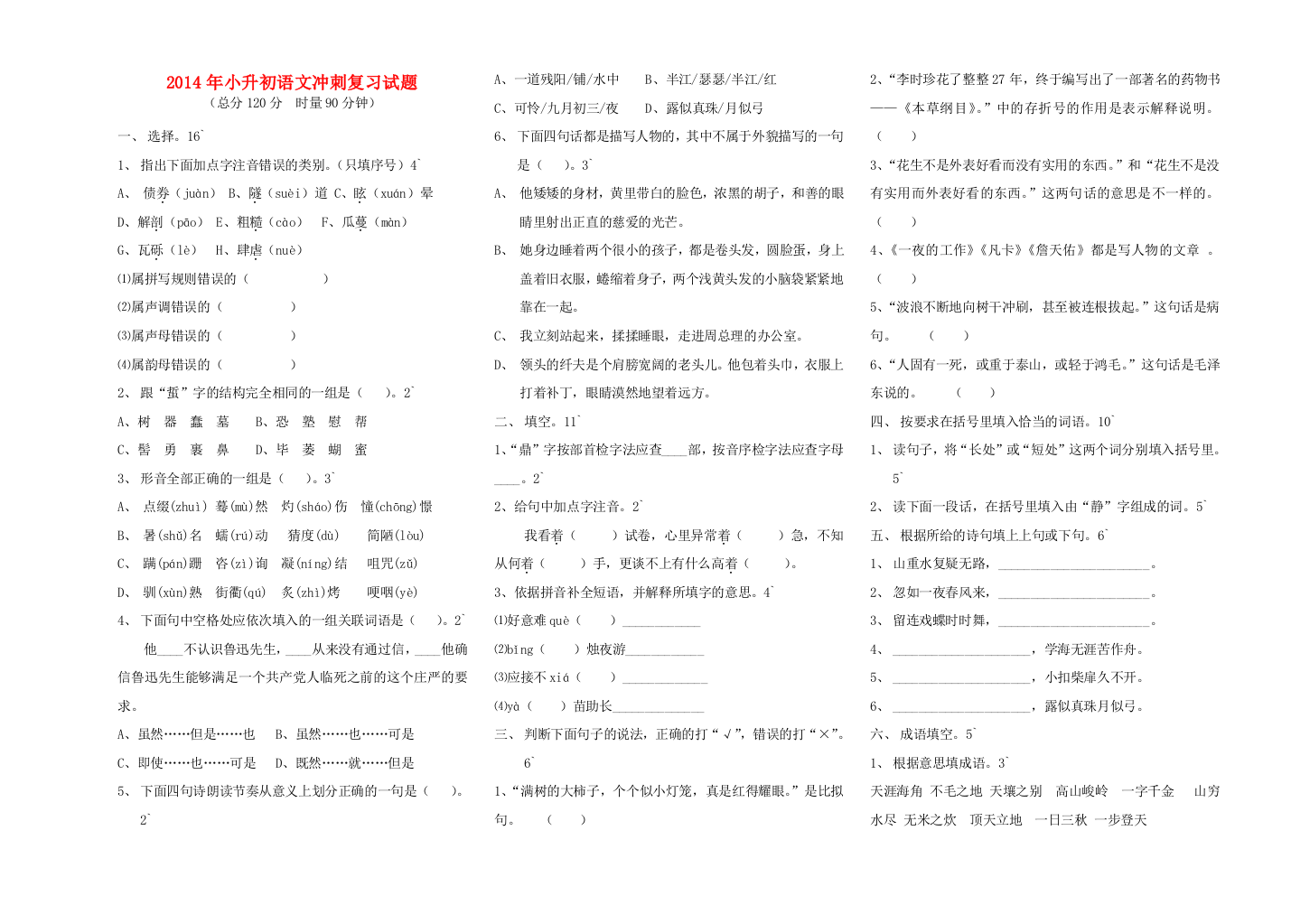 小升初语文冲刺复习试题（无答案）