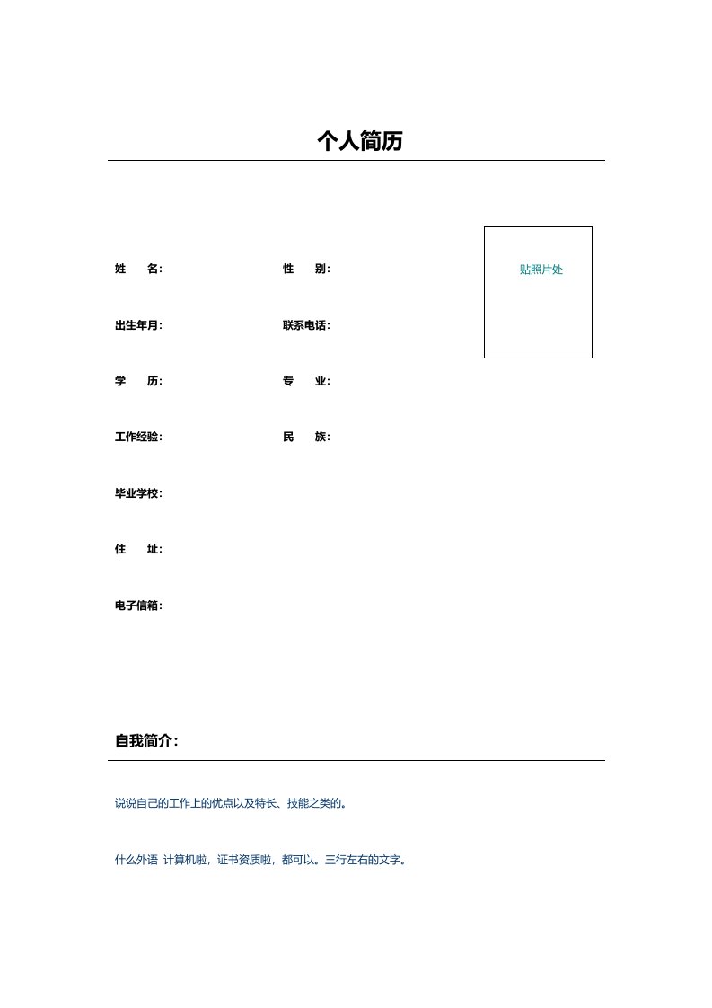 电子商务行业项目管理经理简历模板表格