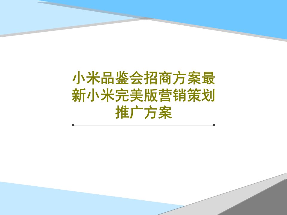 小米品鉴会招商方案最新小米完美版营销策划推广方案共30页