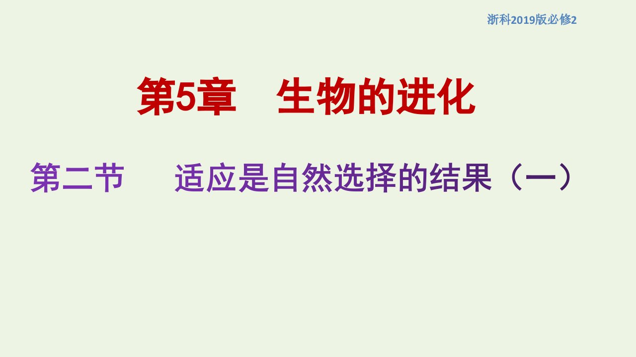 新教材高中生物第五章生物的进化第二节适应是自然选择的结果课件1浙科版必修2