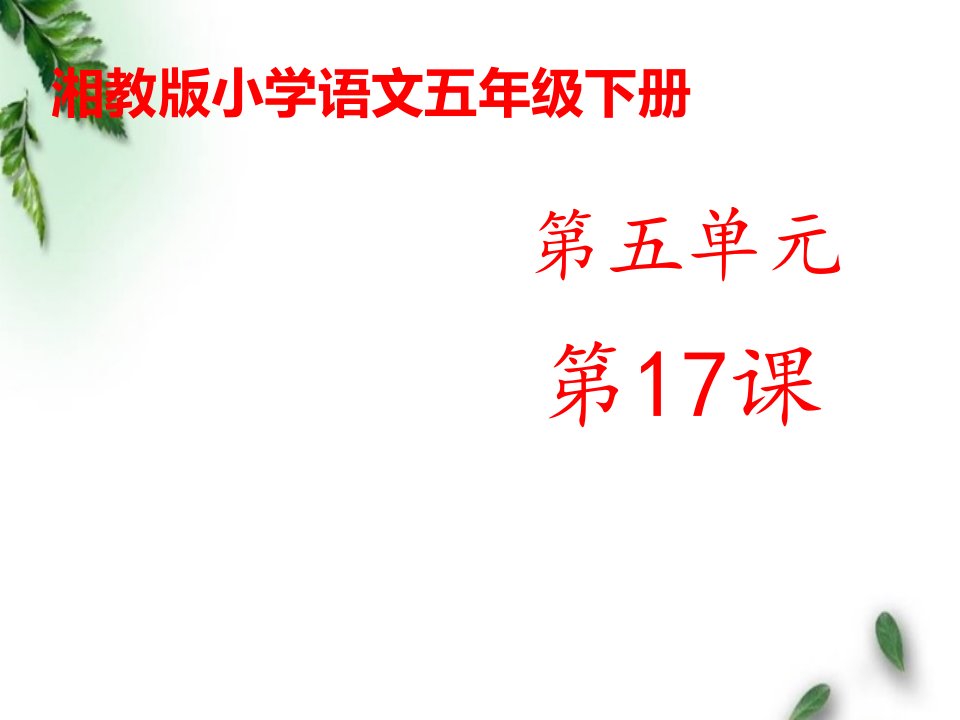 湘教版小学语文五年级下册《袁隆平访谈录》公开课ppt课件