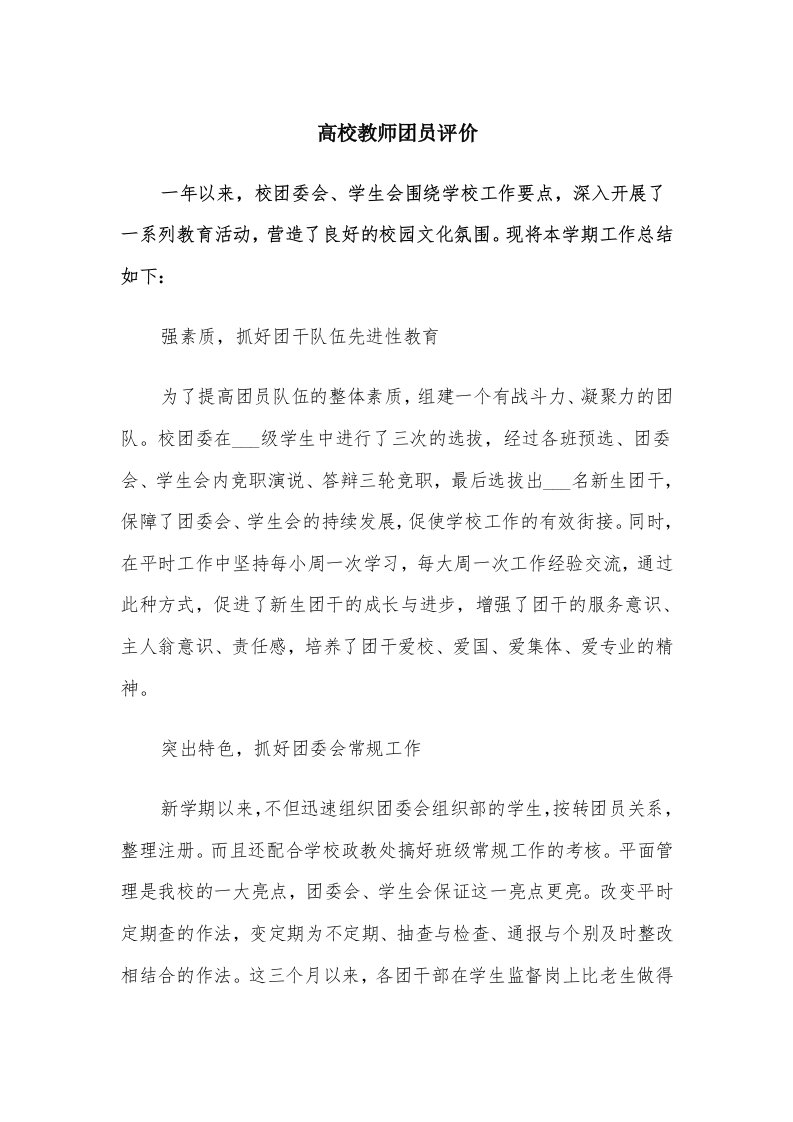 高校教师团员评价