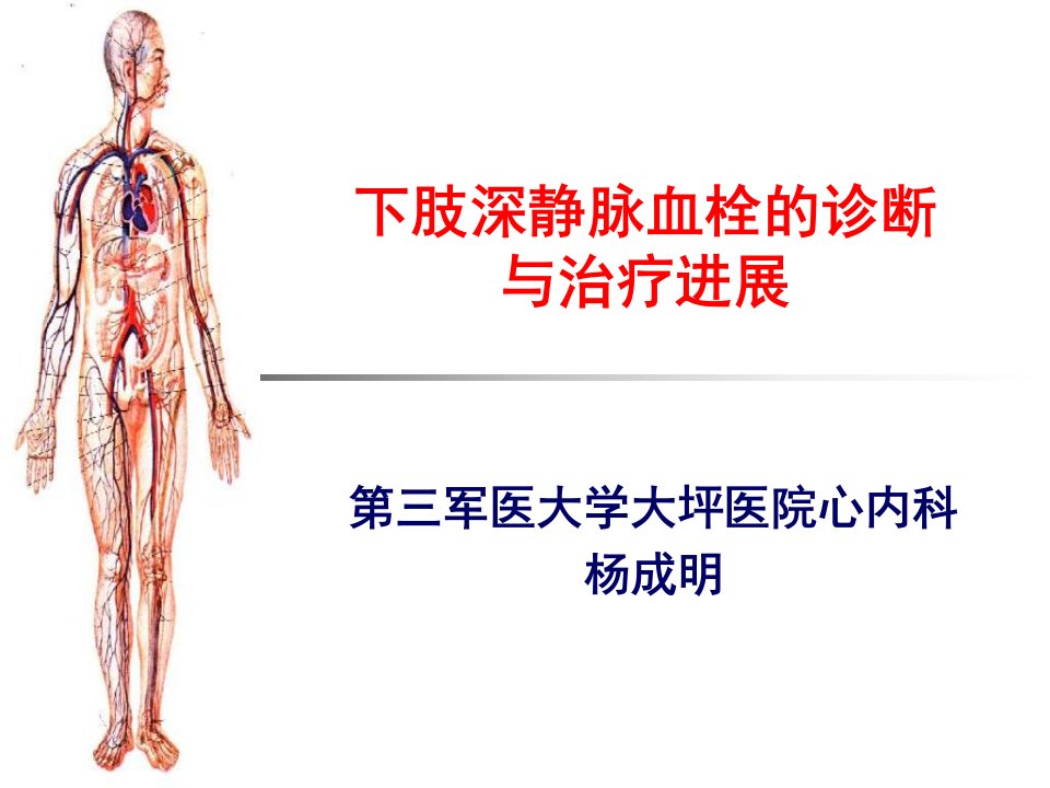 下肢深静脉血栓的诊断与治疗进展