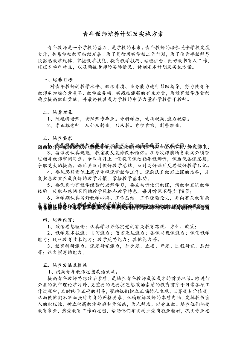 指导青年教师计划及实施方案