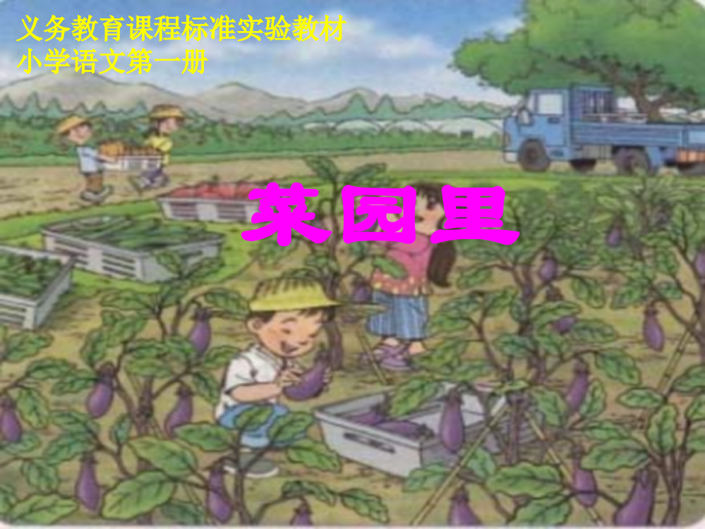 《识字二·菜园里》