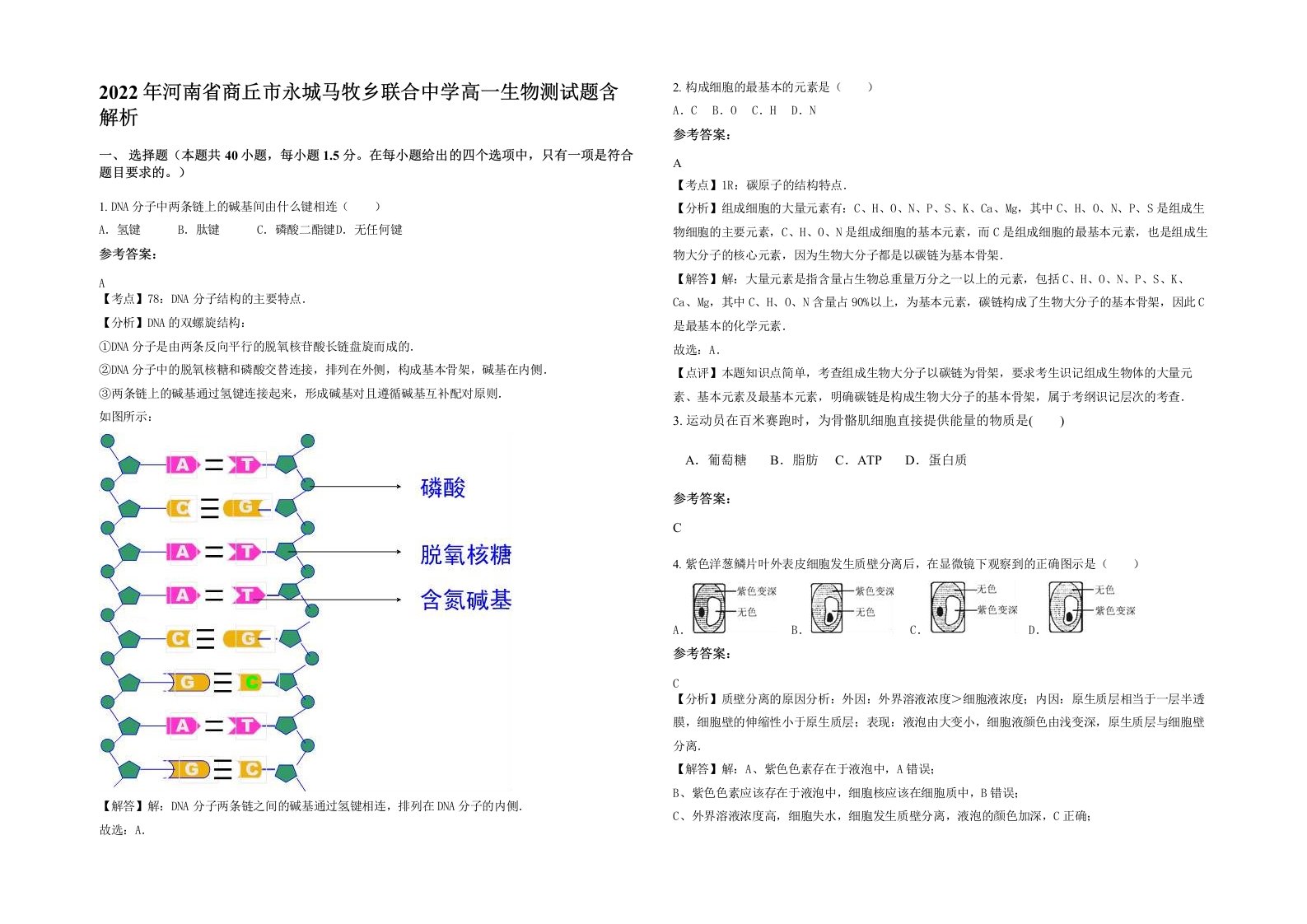 2022年河南省商丘市永城马牧乡联合中学高一生物测试题含解析