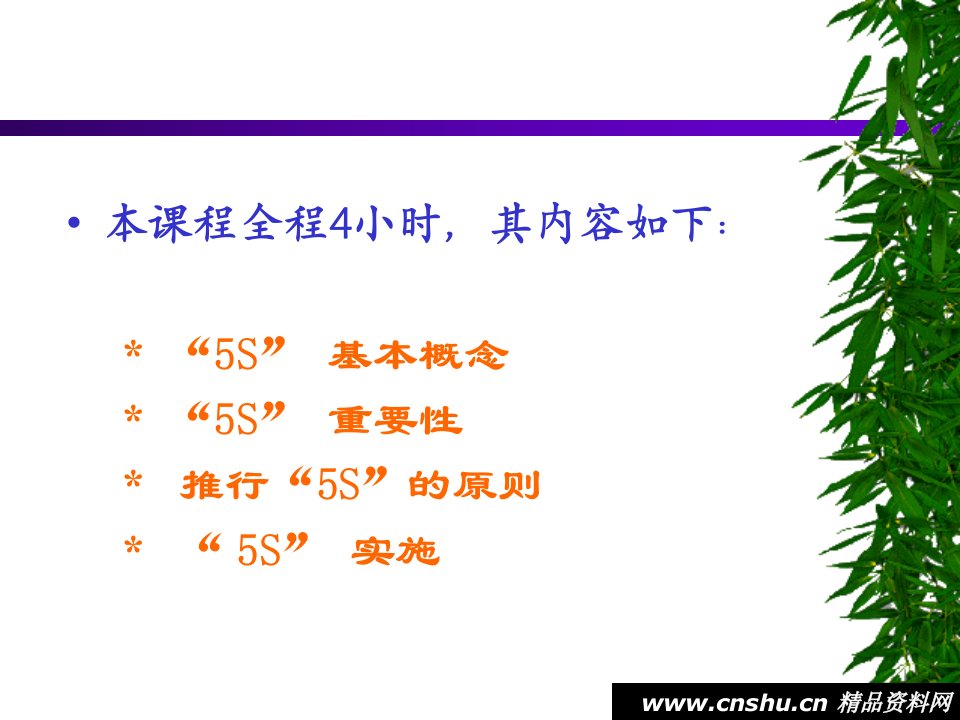 质量管理体系5S活动教程精编版