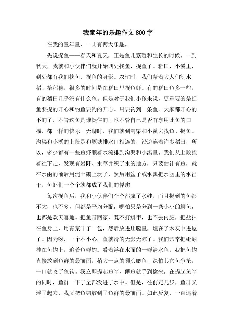 我童年的乐趣作文800字