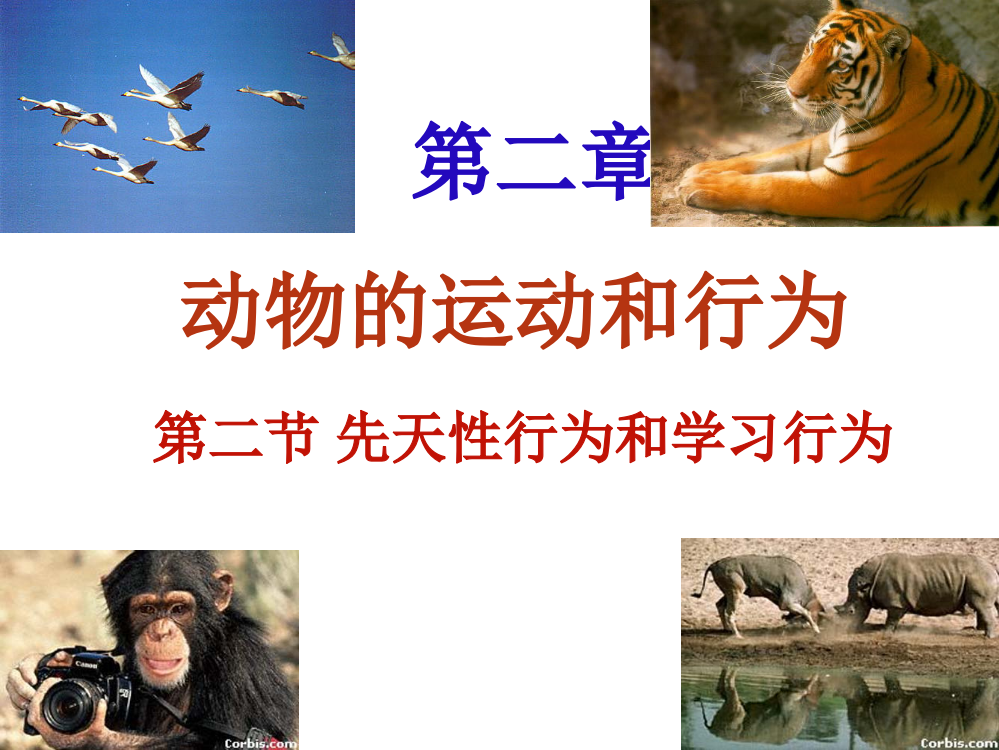 人教版八年级生物上先天性行为和学习行为