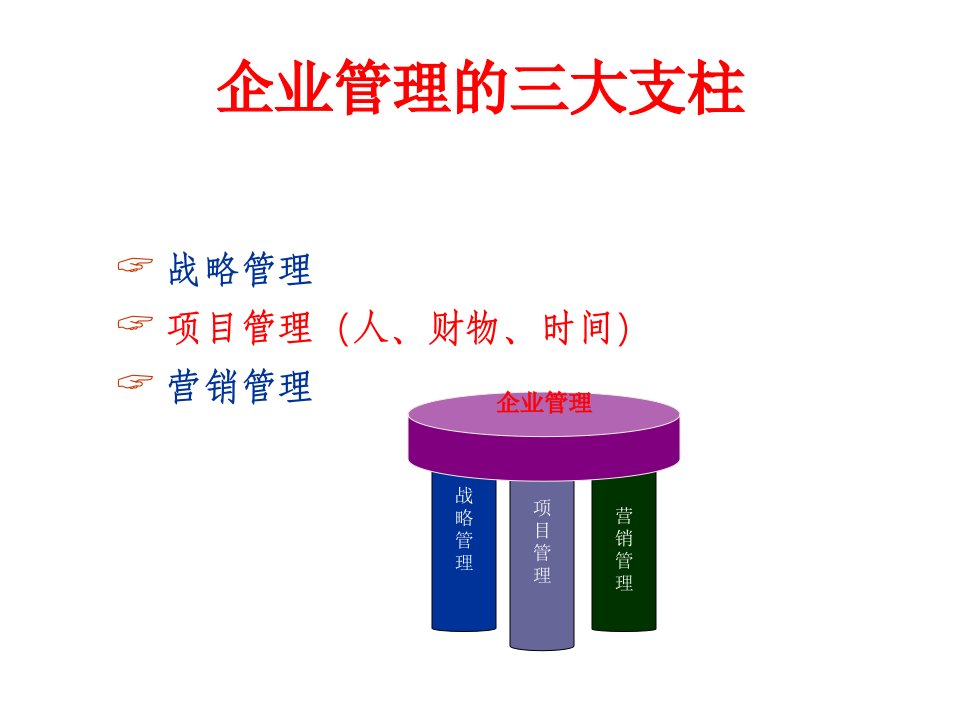 电力公司项目管理培训课件专业知识讲座