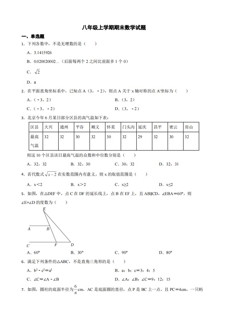 广东省揭阳市普宁市2022年八年级上学期期末数学试题（附答案）