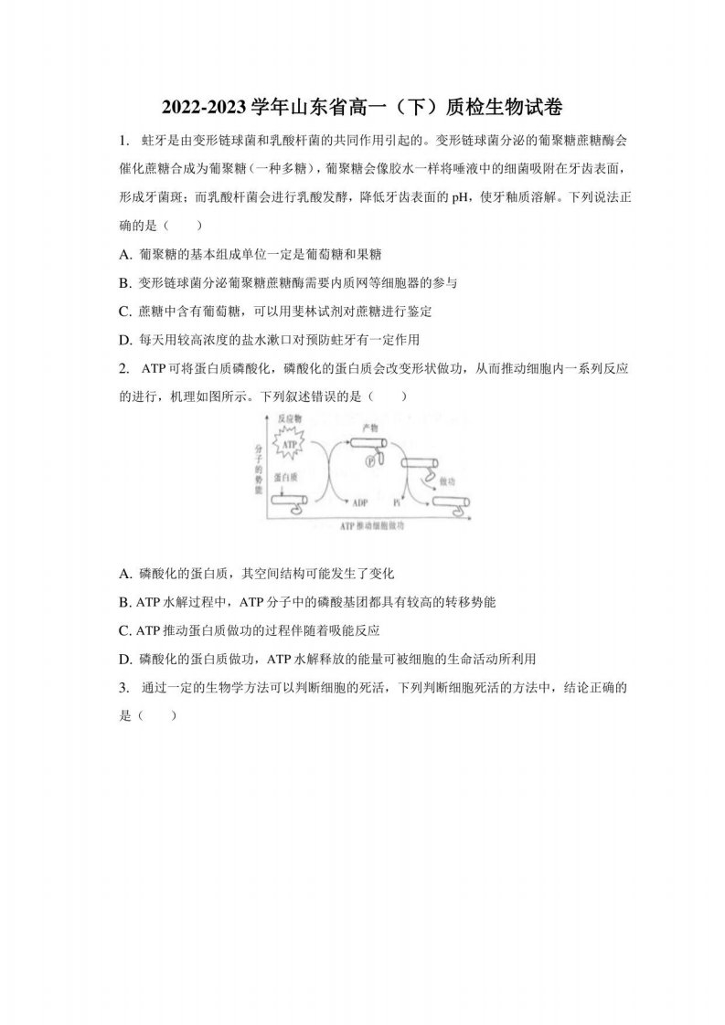 2022-2023学年山东省高一（下）质检生物试卷