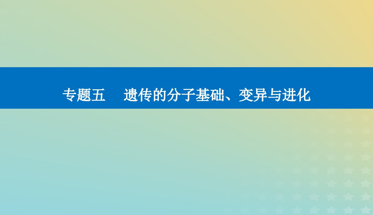 2024届高考生物二轮专题复习与测试专题五遗传的分子基础变异与进化第8讲生物的变异与进化课件