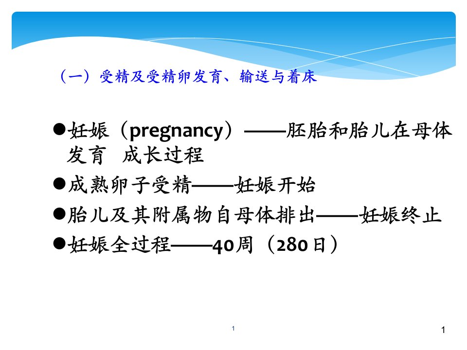 妊娠生理PPT幻灯片课件