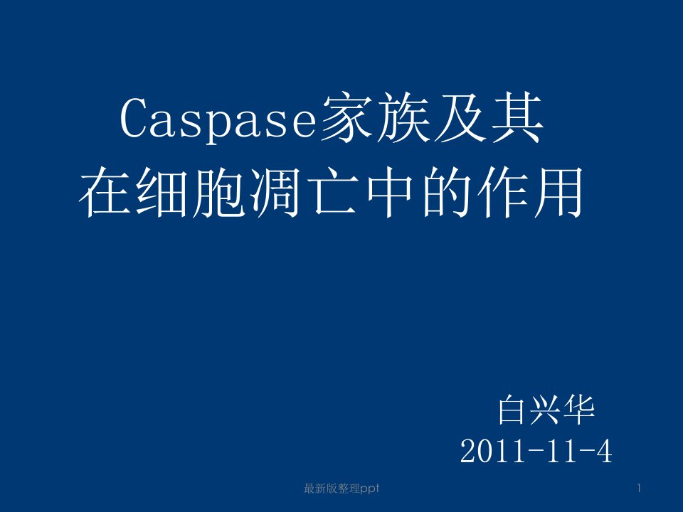 caspase蛋白ppt课件