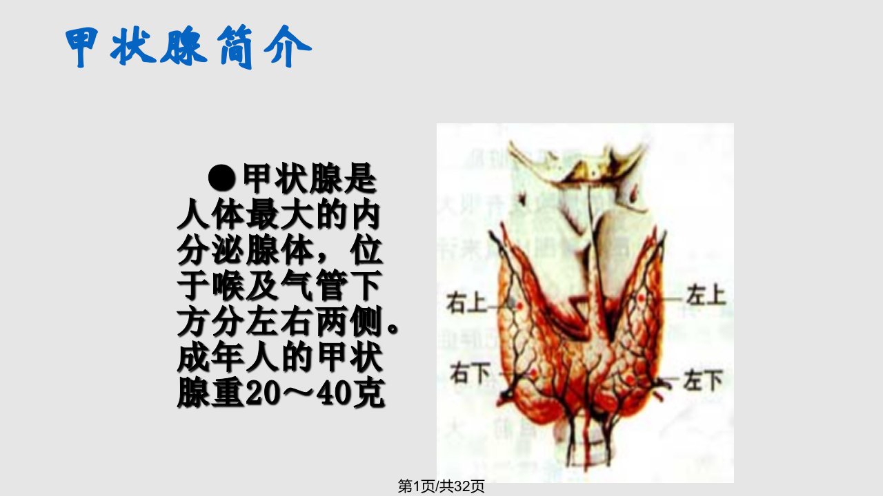 单纯性甲状腺肿PPT课件