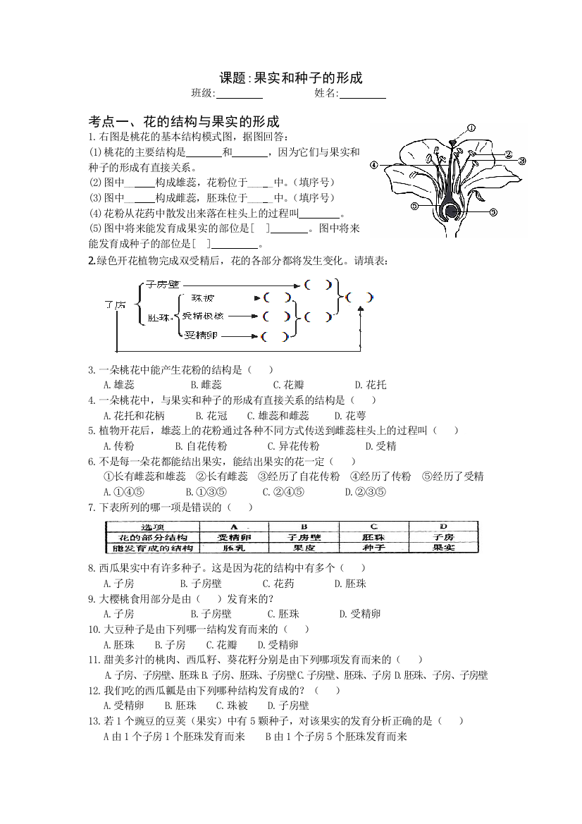 果实和种子的形成专题复习