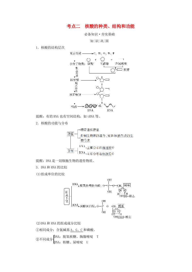 2025版高考生物一轮总复习教师用书必修1第1单元走近细胞和组成细胞的分子第3讲蛋白质和核酸考点二核酸的种类结构和功能