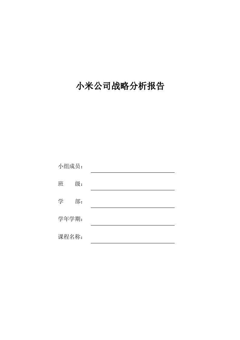 小米公司战略报告分析