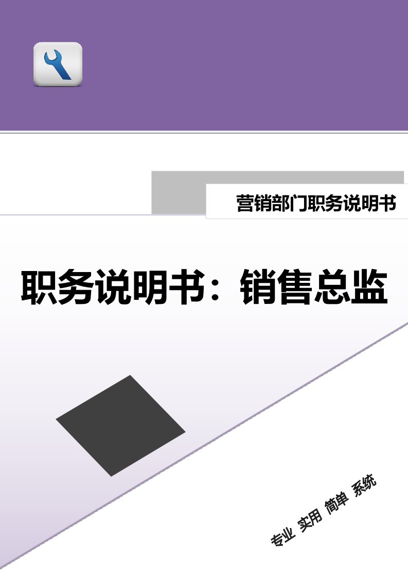 精品文档-职务说明书——销售总监