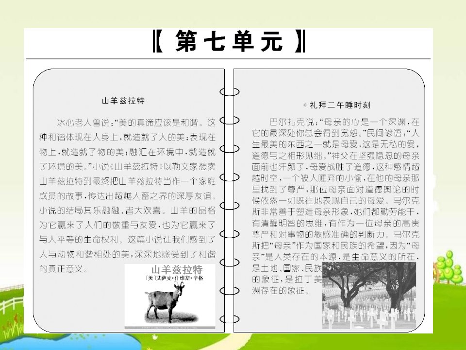 2018人教版高中语文（外国小说欣赏）第13课《山羊兹拉特》ppt导学课件