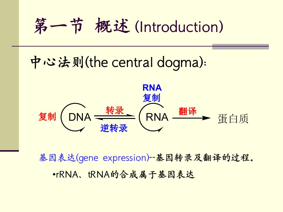 第五章基因表达调控