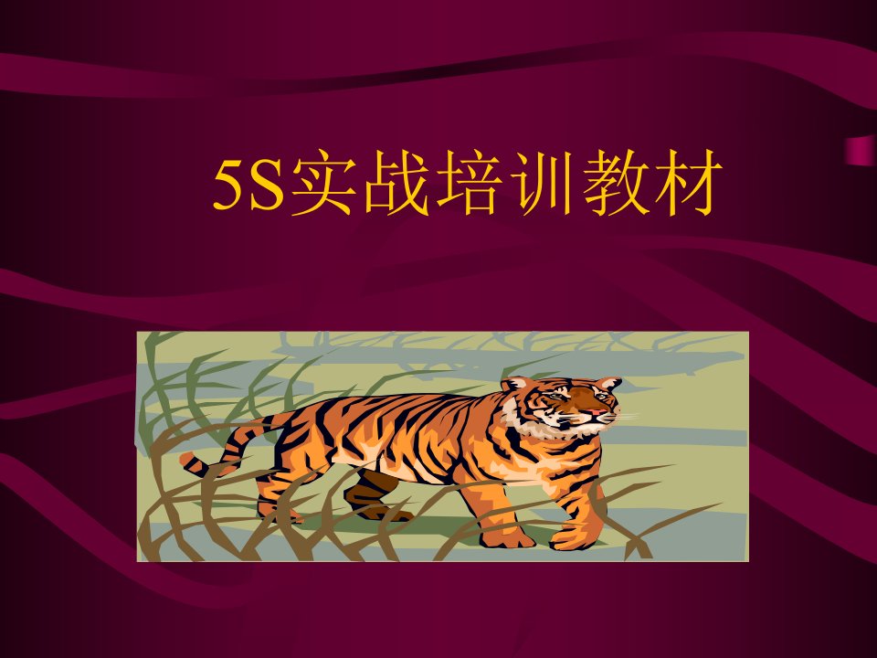 5S实战培训教材4343728